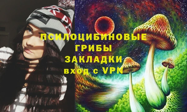 прущие грибы Богданович